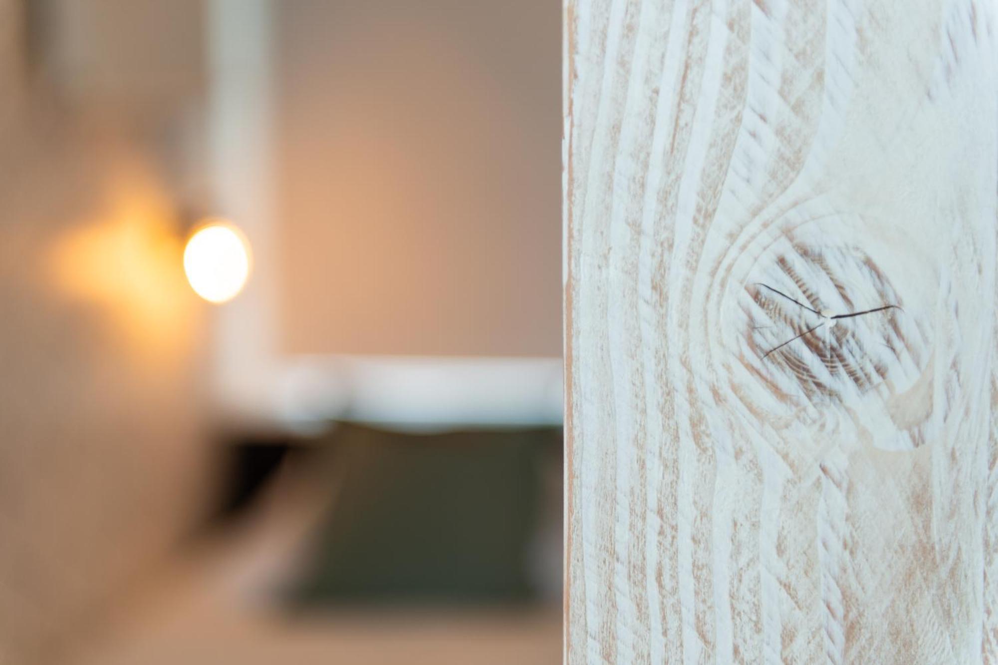 Appartement Zuyd Zandvoort Buitenkant foto