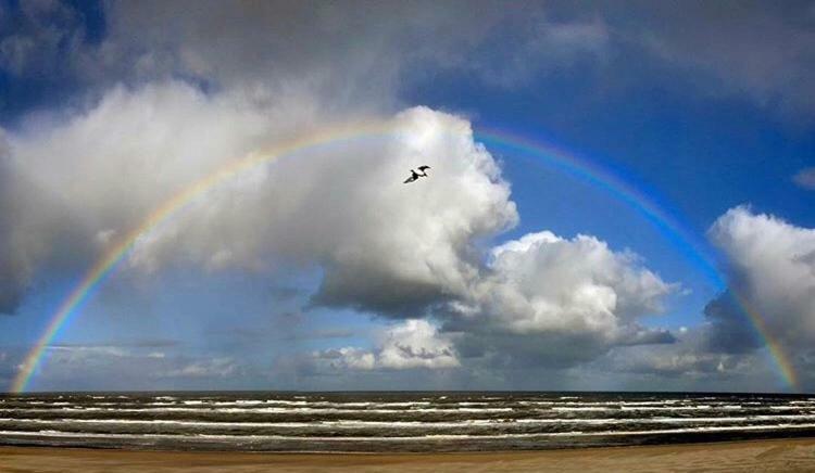 Appartement Zuyd Zandvoort Buitenkant foto